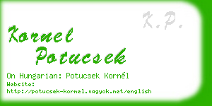kornel potucsek business card